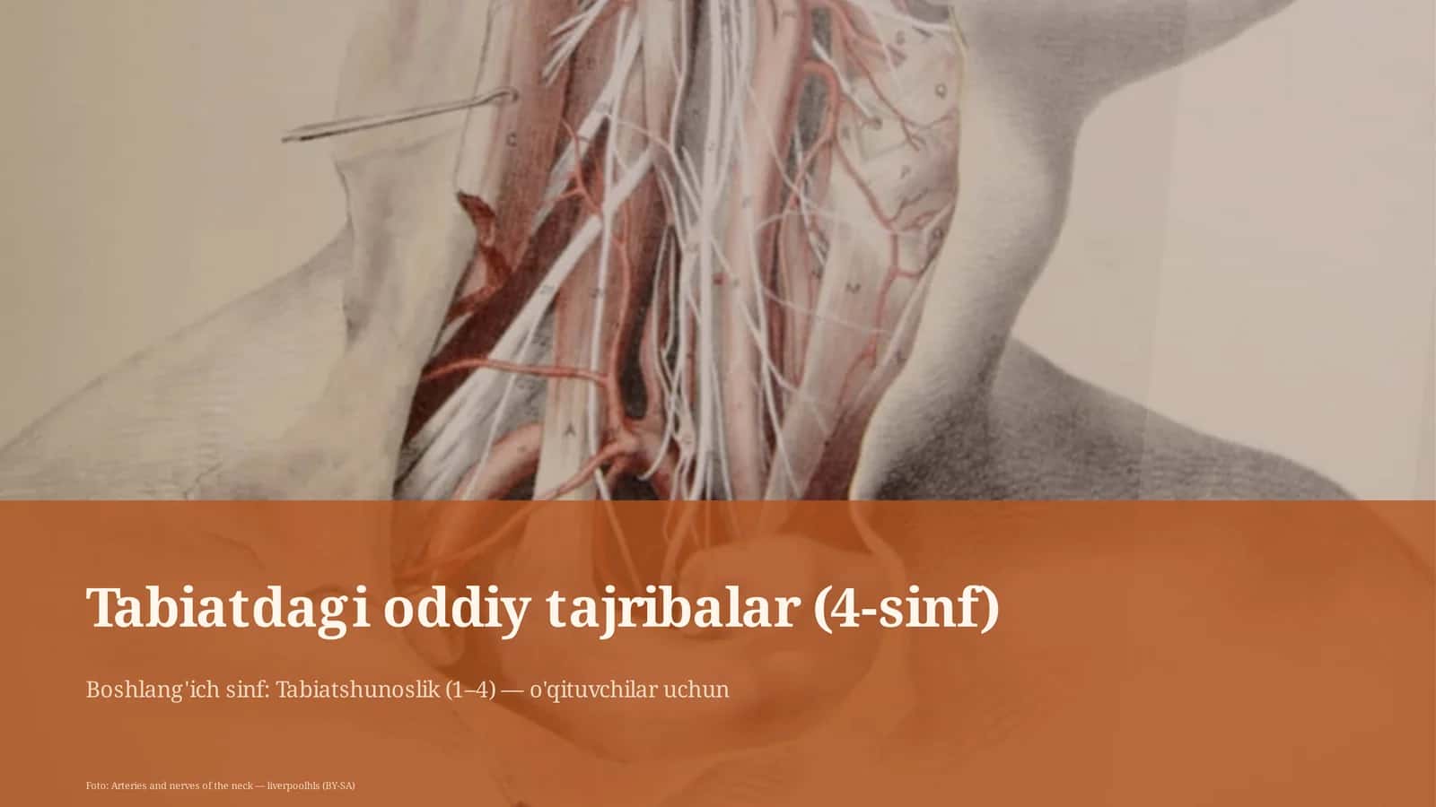 Tabiatdagi oddiy tajribalar (4-sinf) 1