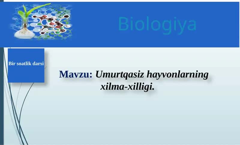 Umurtqasizhayvonlarningxilma-xilligi 1