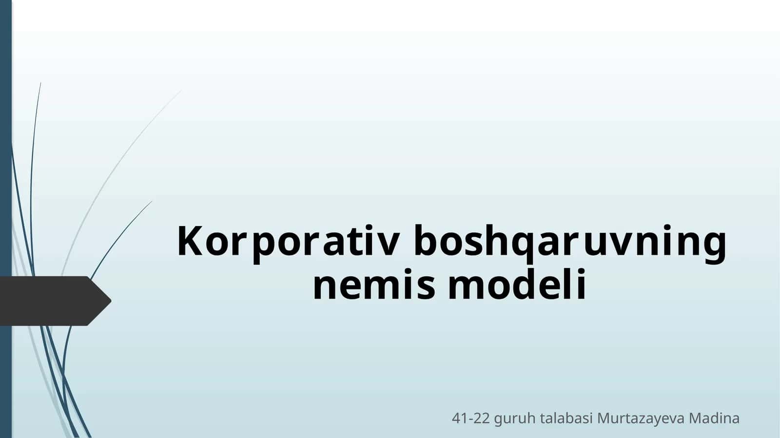 Korporativ boshqaruvning nemi modeli 1