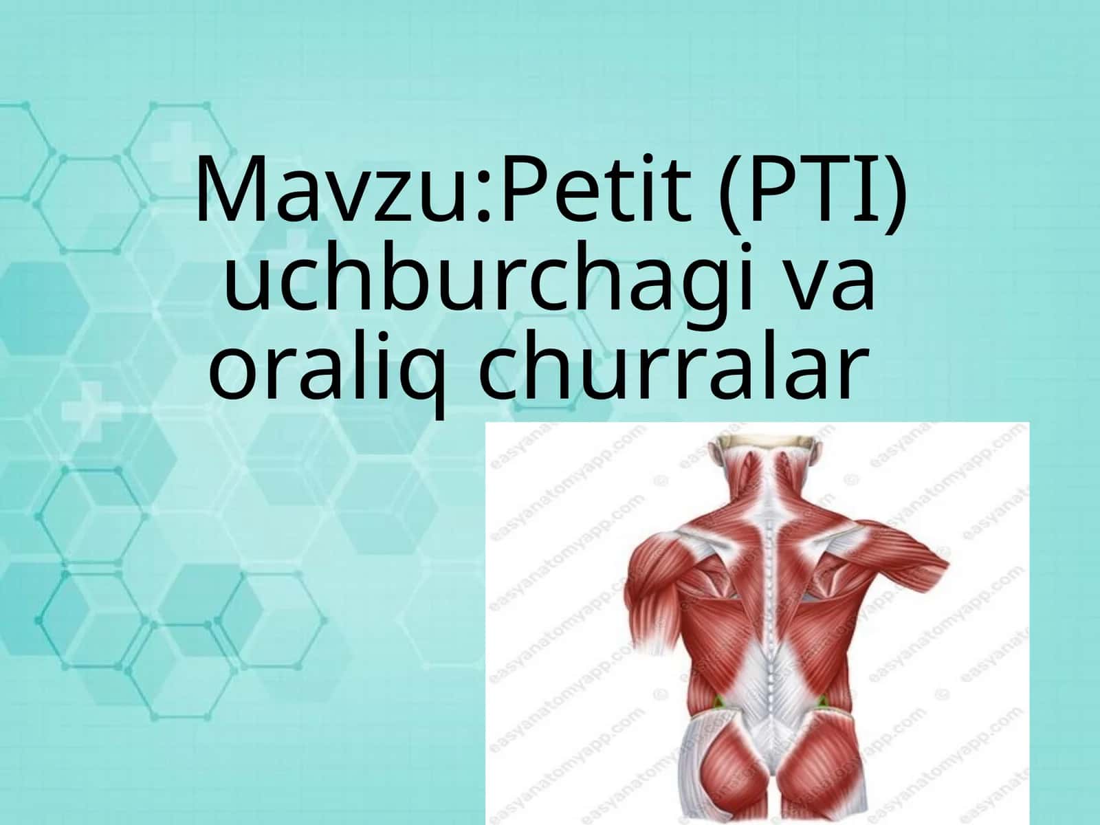 Petit(PTI) uchburchagi va oraliq churralar 1