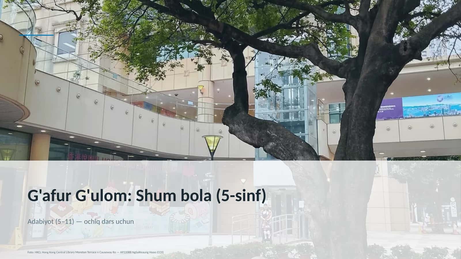 Shum bola (5-sinf) 1