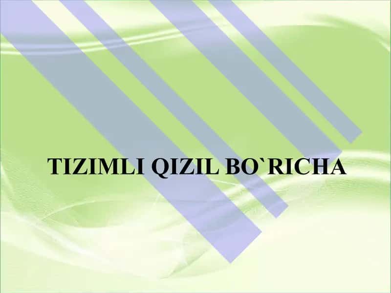 Tizimli qizil bo`richa 1