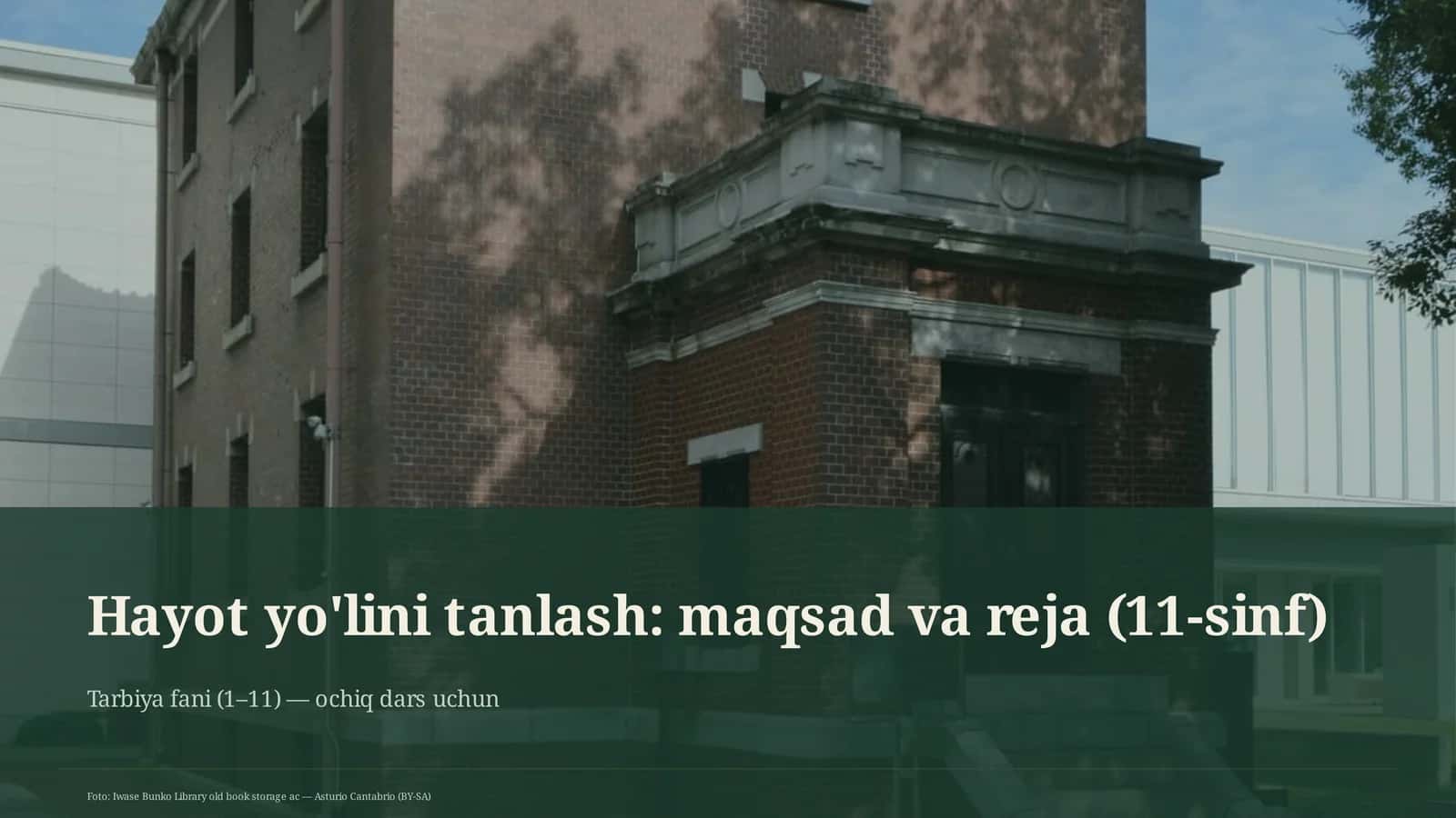 Hayot yo'lini tanlash: maqsad va reja (11-sinf) 1