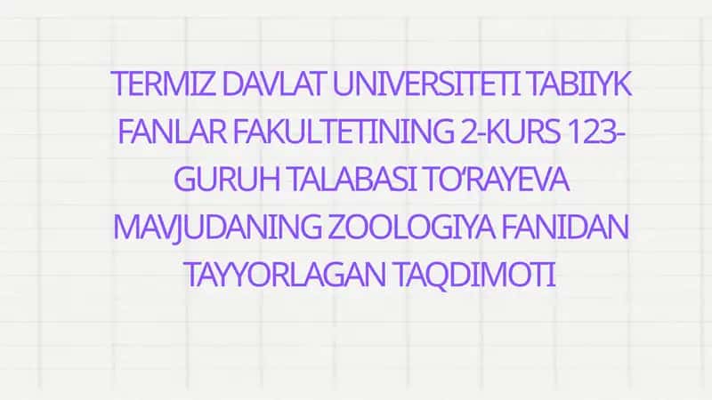 Toʻrayeva Mavjudaning Zoologiya Fanidan Tayyorlagan Taqdimoti 1