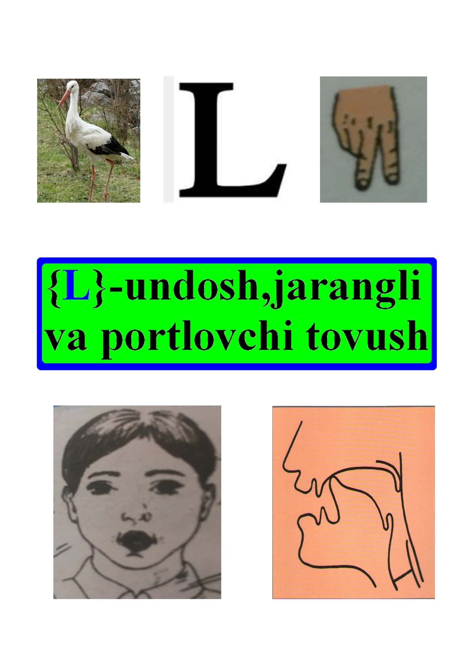 «L» harflari 1