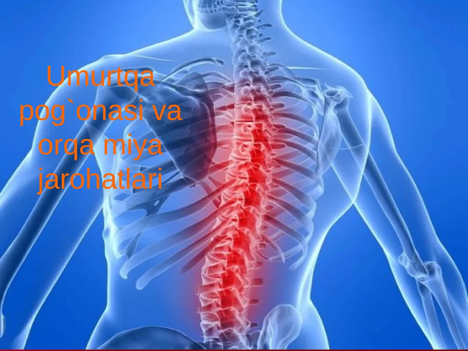 Umurtqa pog`onasi va orqa miya jarohatlari 1