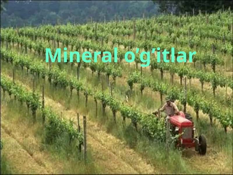 Mineral o’g’itlar 1