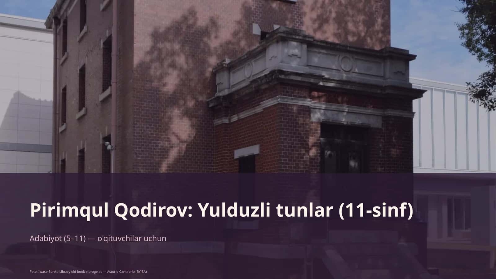 Yulduzli tunlar (11-sinf) 1