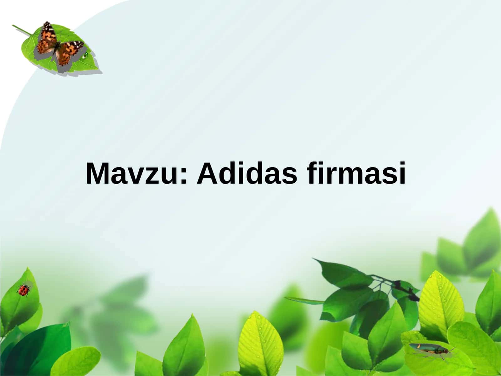 Adidas firmasi 1