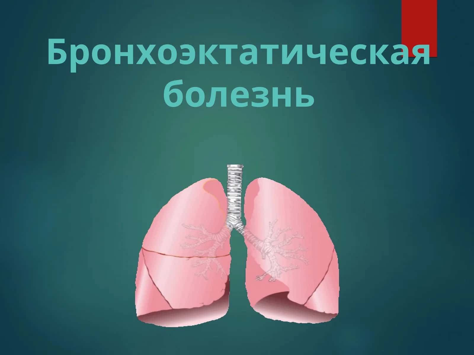 Bronxoekoz kasalligi БРОНХОЭКТАТИЧЕСКАЯ БОЛЕЗНЬ 1