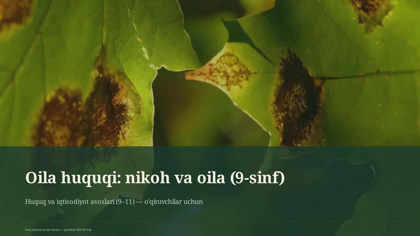 Huquq va iqtisodiyot asoslari (9–11) 1