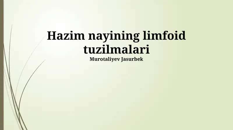 Hazim nayining limfoid tuzilmalari 1