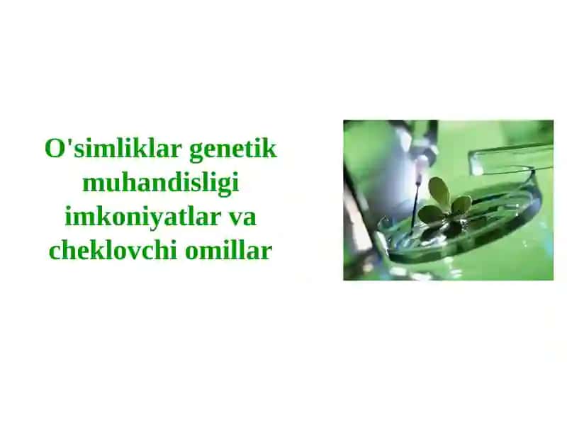O'simliklargenetik muhandisligi imkoniyatlar va cheklovchi omillar