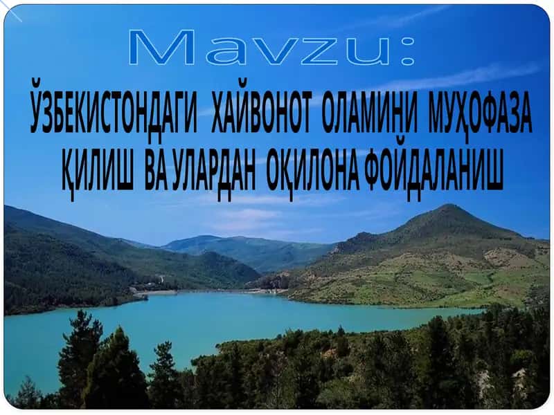 ЎЗБЕКИСТОНДАГИ ХАЙВОНОТОЛАМИНИ МУҲОФАЗА ҚИЛИШ ВА УЛАРДАН ФОЙДАЛАНИШ 1