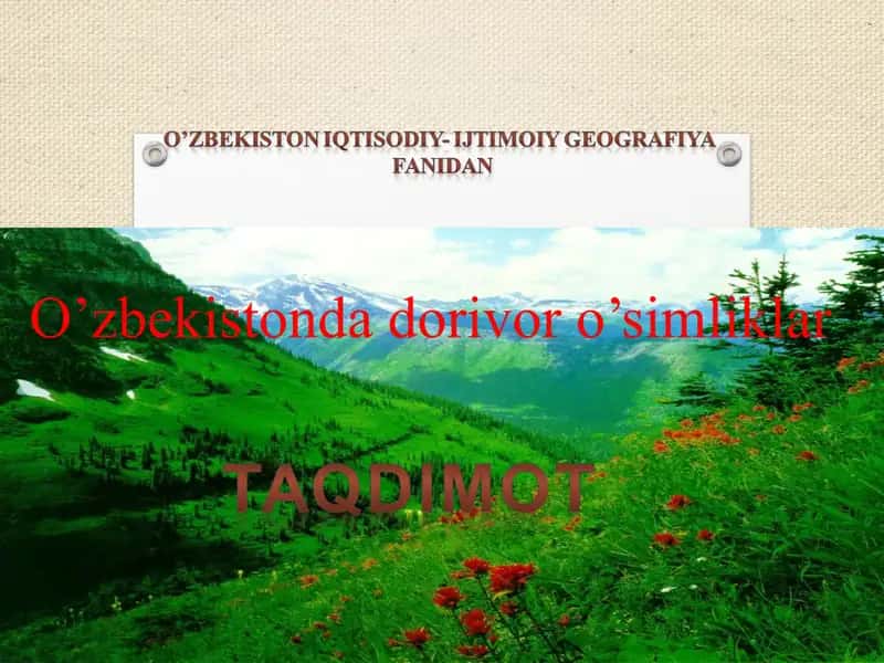 O'simlik olamining sayyoramizdagi o'rniva uning inson hayotidagi ahamiyati 1