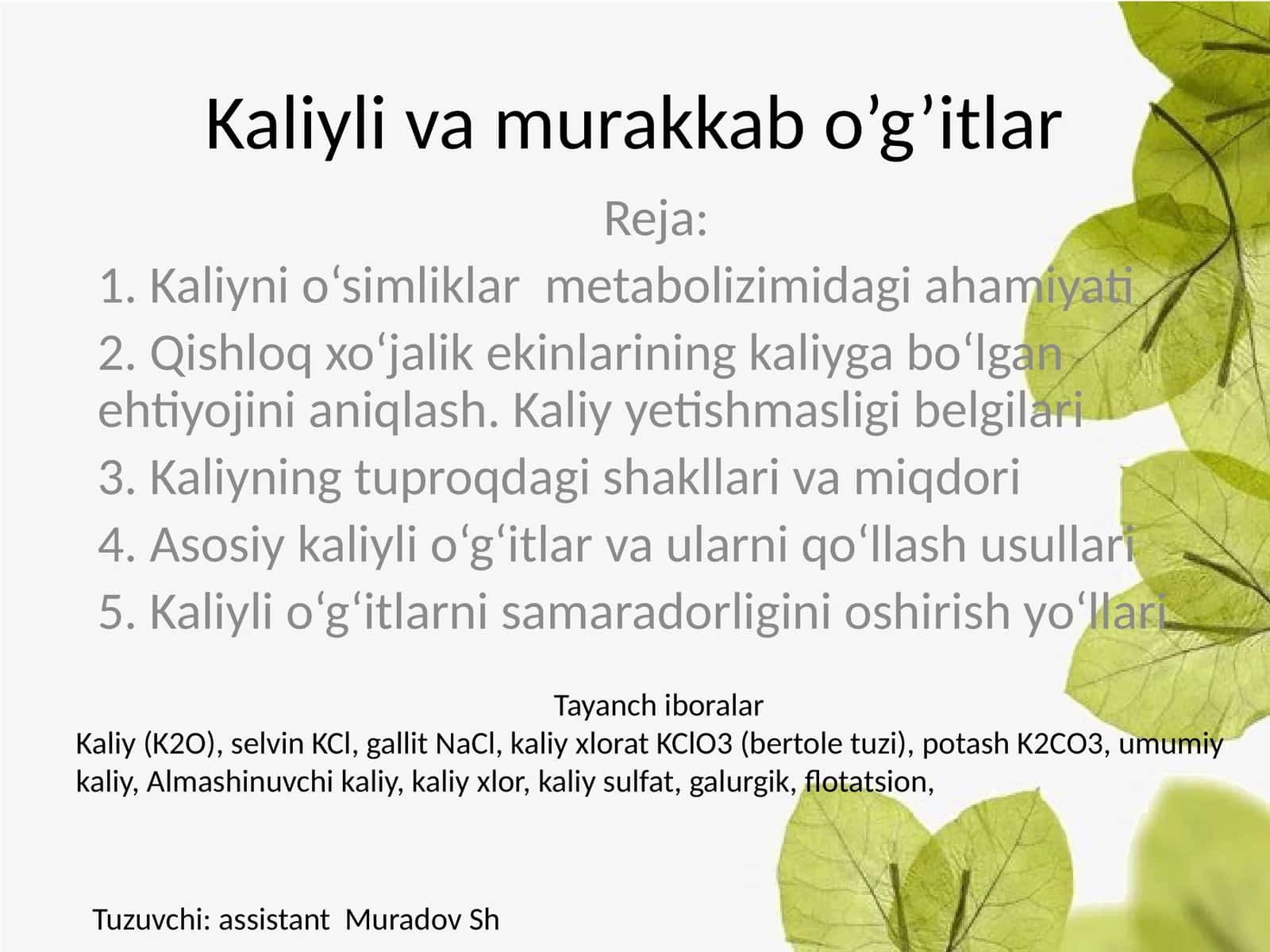 Kaliyli va murakkab o’g’itlar 1