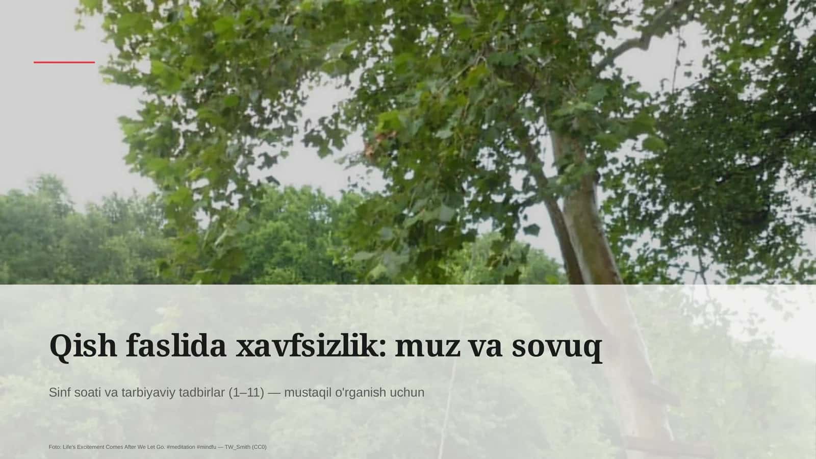 Qish faslida xavfsizlik: muz va sovuq 1