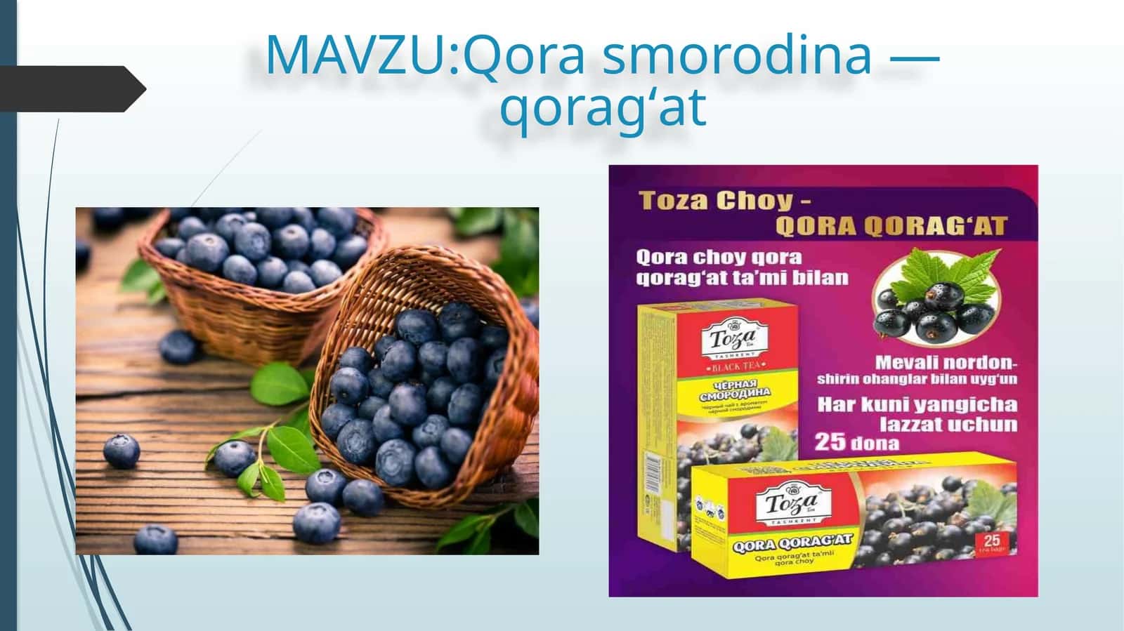 Qora smorodina — qoragʻat 1