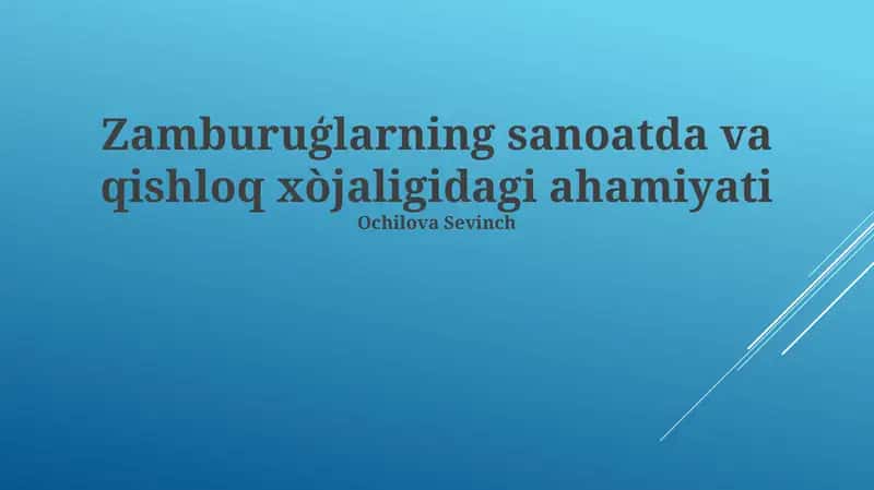 Zamburuğlar yetishtirish texnologiyalari 1