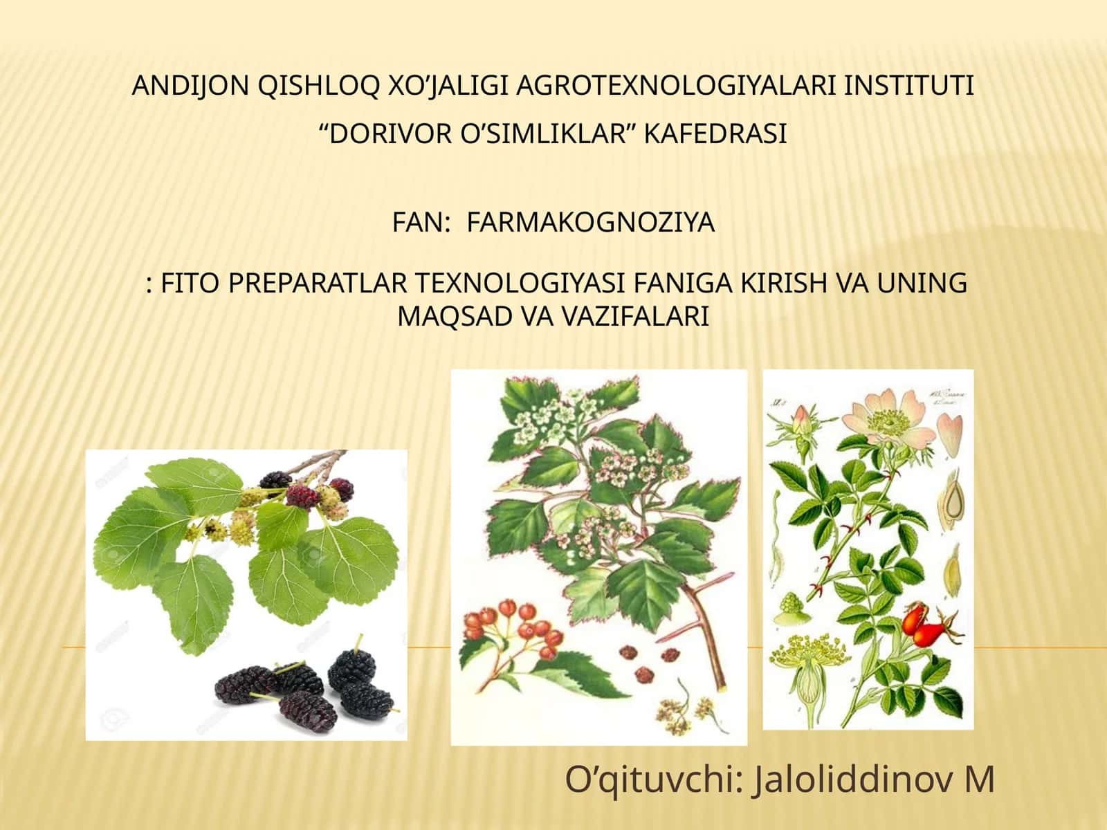 FAN: FARMAKOGNOZIYA: FITO PREPARATLAR TEXNOLOGIYASI FANIGA 1