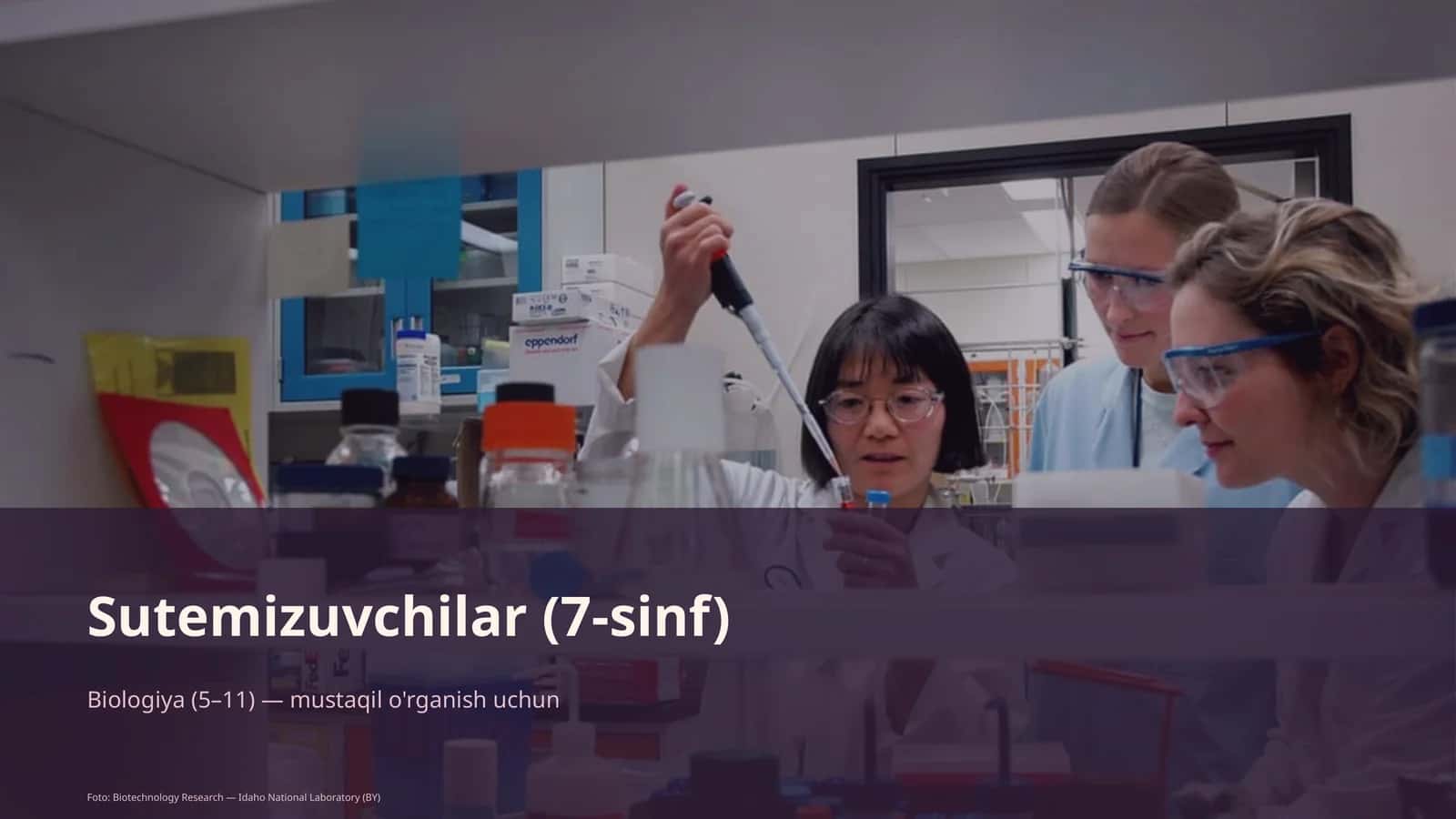 Sutemizuvchilar (7-sinf) 1