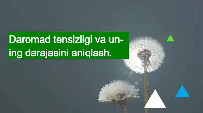 Daromad tensizligi va uning darajasini aniqlash 1