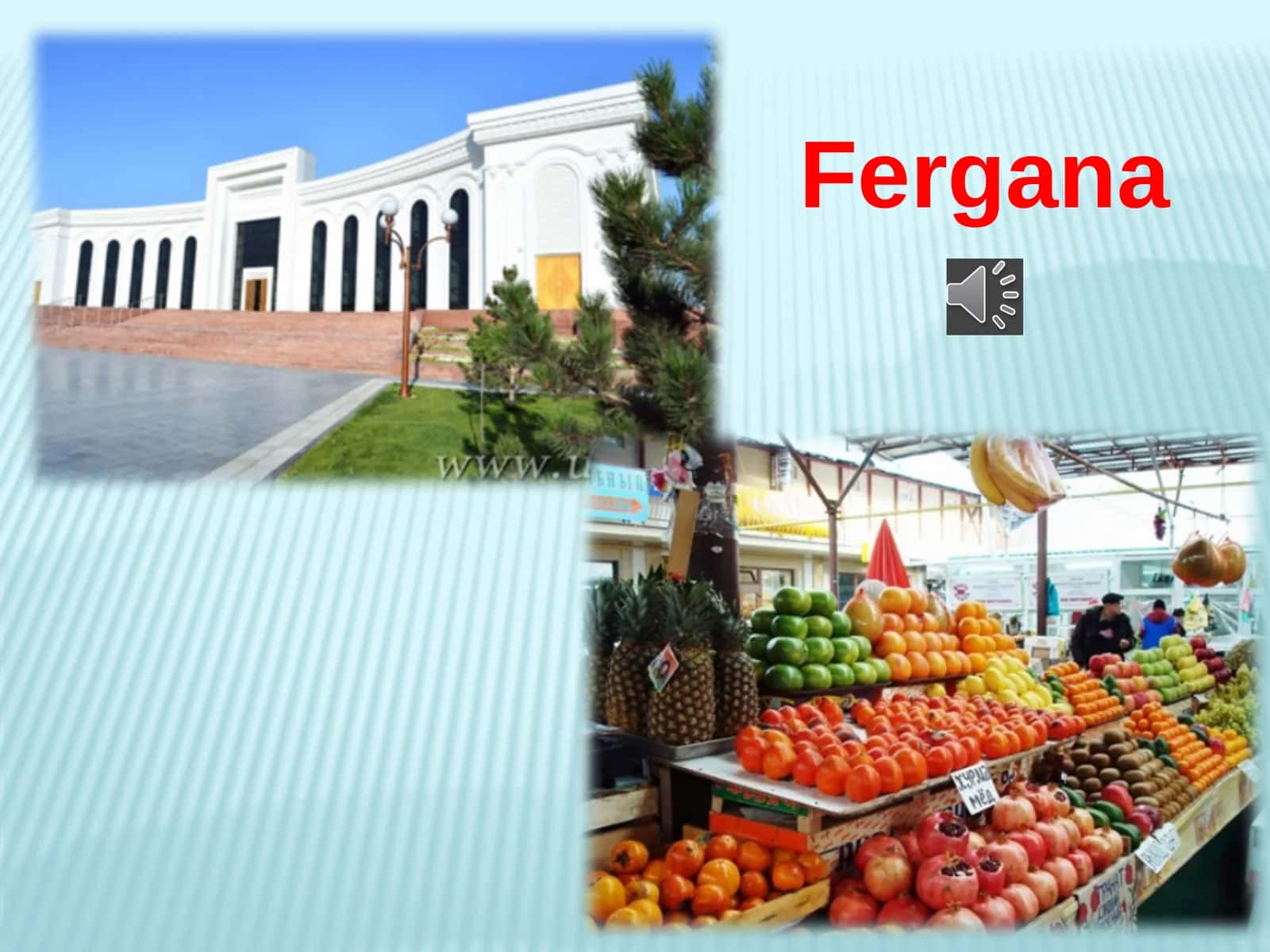 Fergana 1
