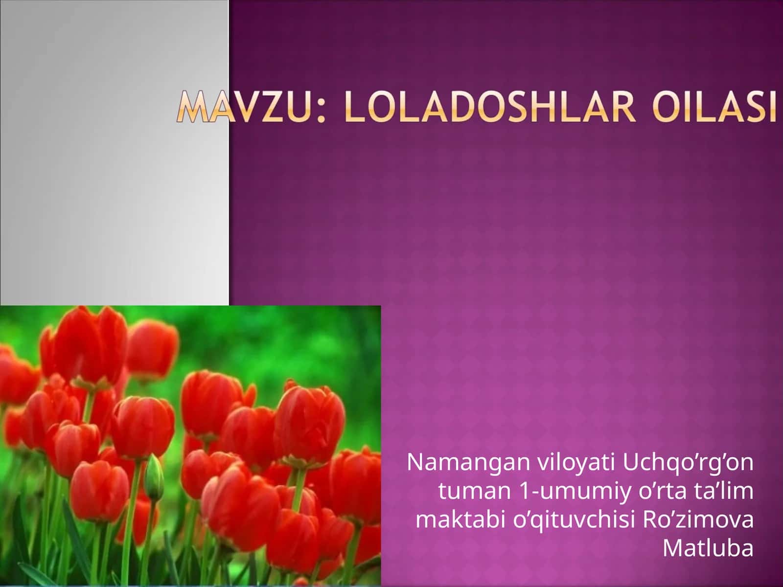 Loladoshlar oilasi 1