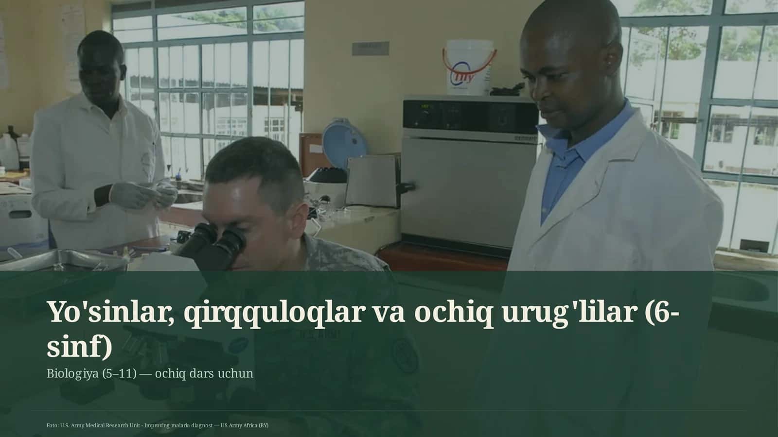 Yo'sinlar, qirqquloqlar va ochiq urug'lilar (6-sinf) 1