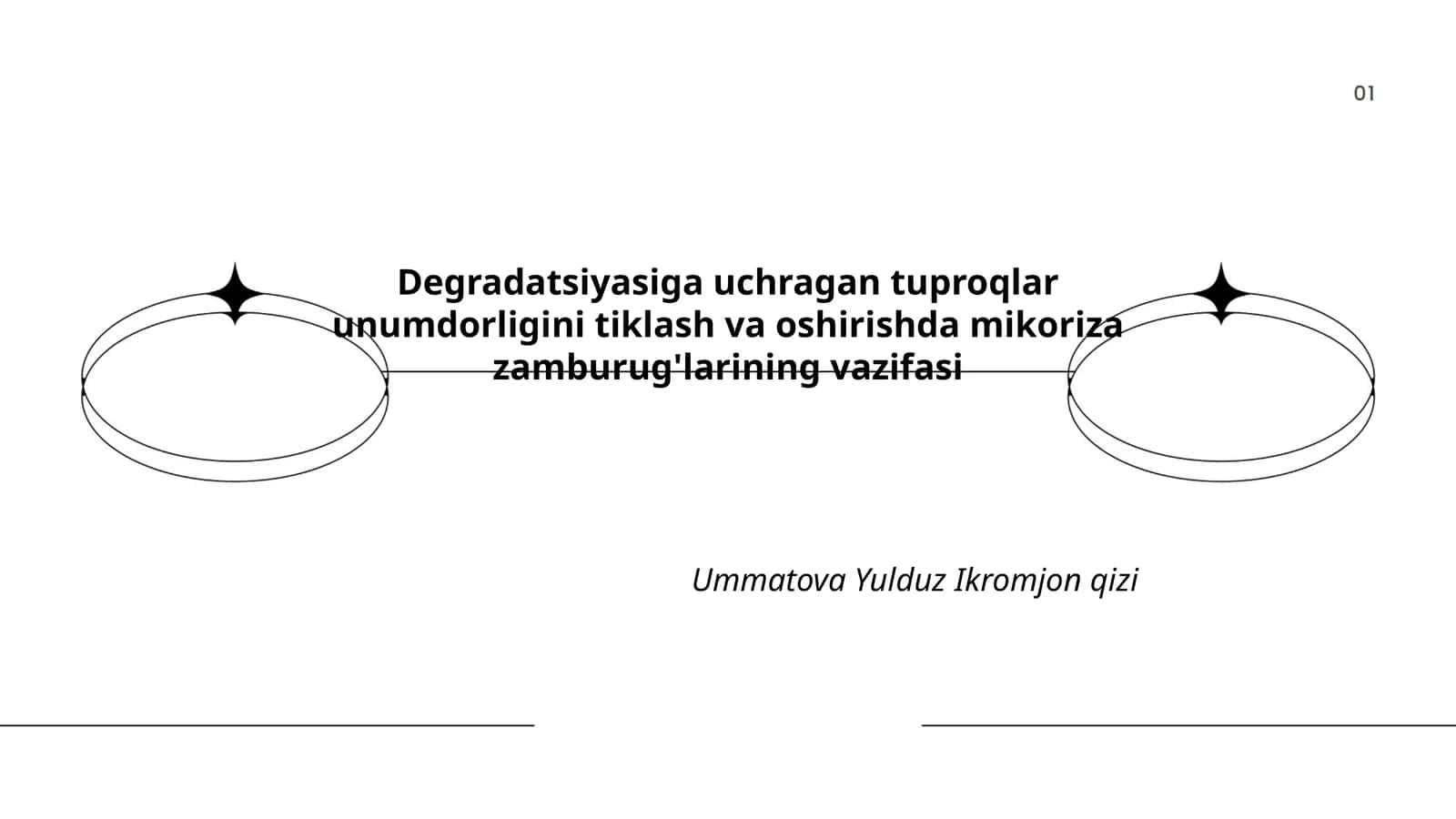 Mikoriza zamburug'larining vazifasi tuproqda 1