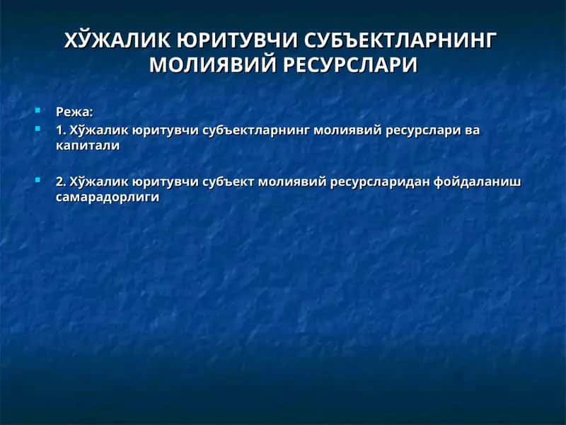 ХЎЖАЛИК ЮРИТУВЧИ СУБЪЕКТЛАРНИНГ МОЛИЯВИЙ РЕСУРСЛАРИ 1