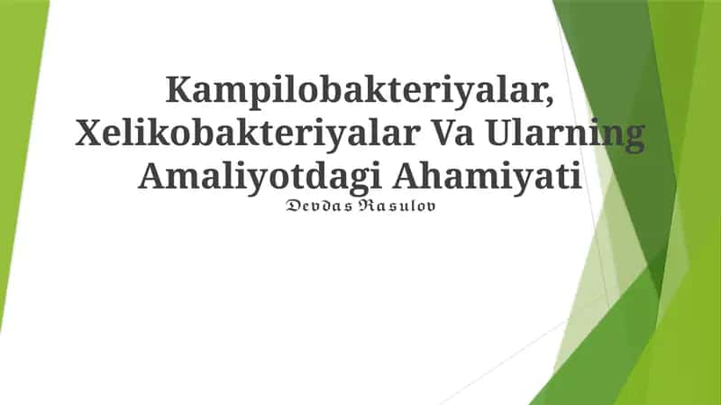 Kampilobakteriyalar, Xelikobakteriyalar Va Ularning Amaliyotdagi Ahamiyati 1