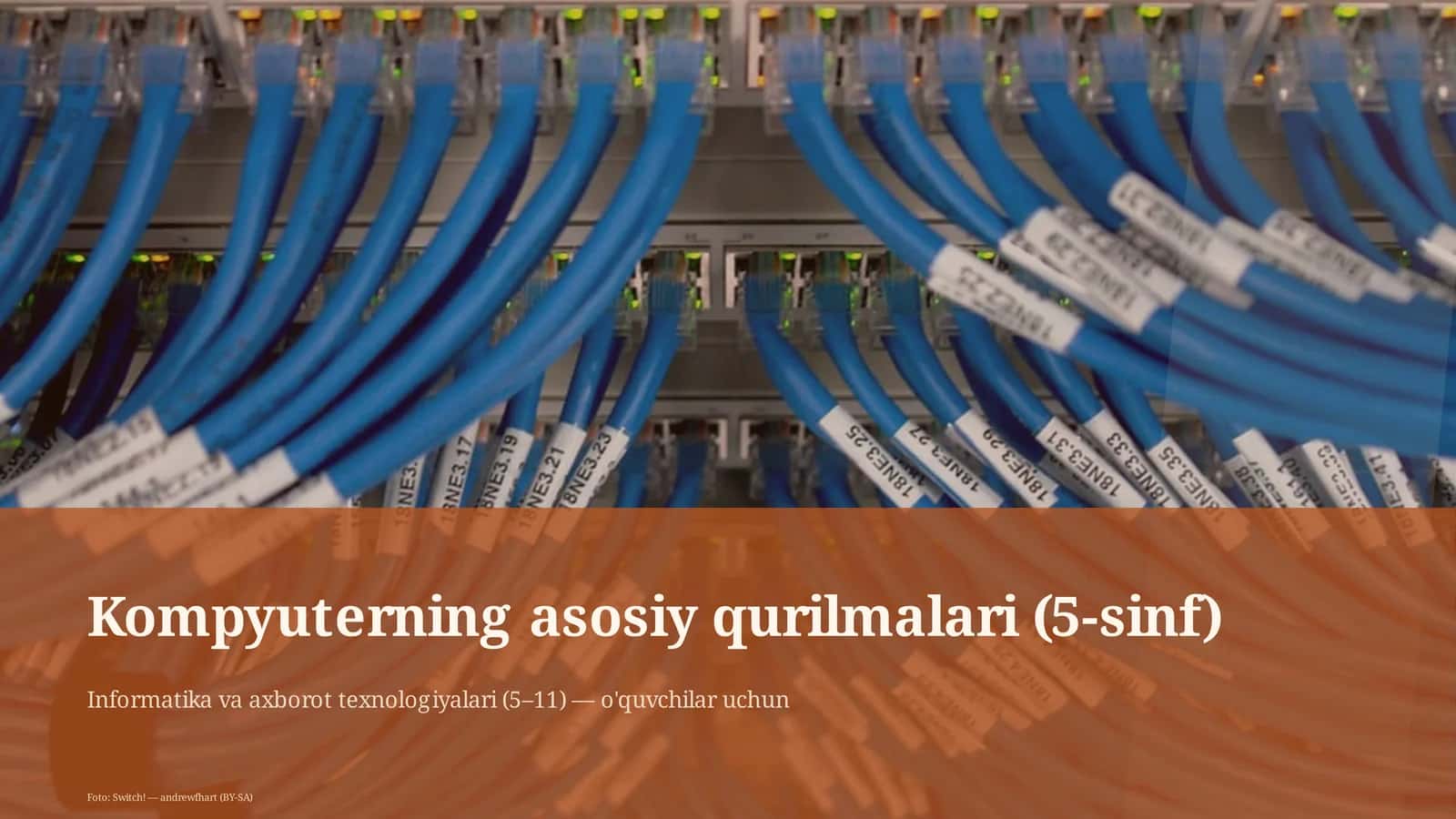 Kompyuterning asosiy qurilmalari (5-sinf) 1