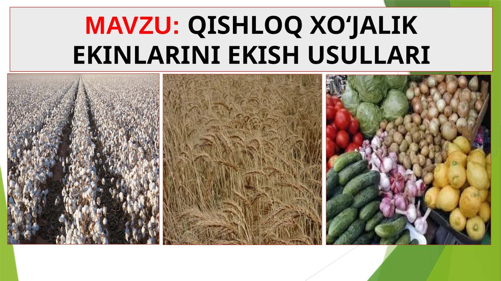 QISHLOQ XO‘JALIK EKINLARINI EKISH USULLARI 1