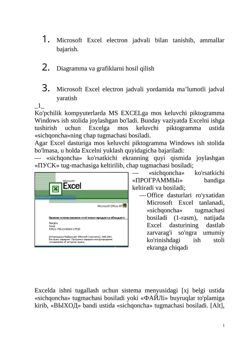 Microsoft Excel 1