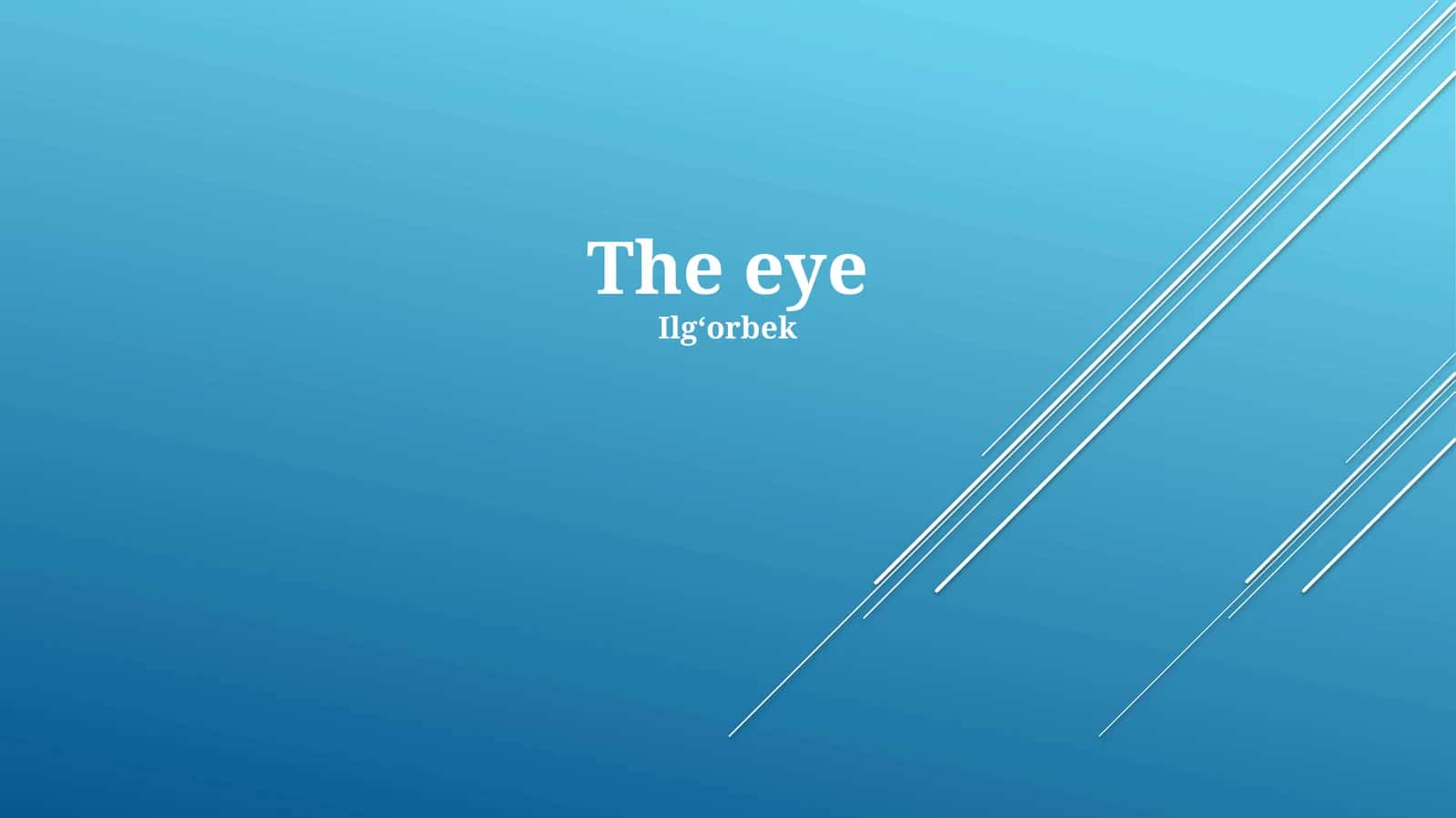 The eye 1