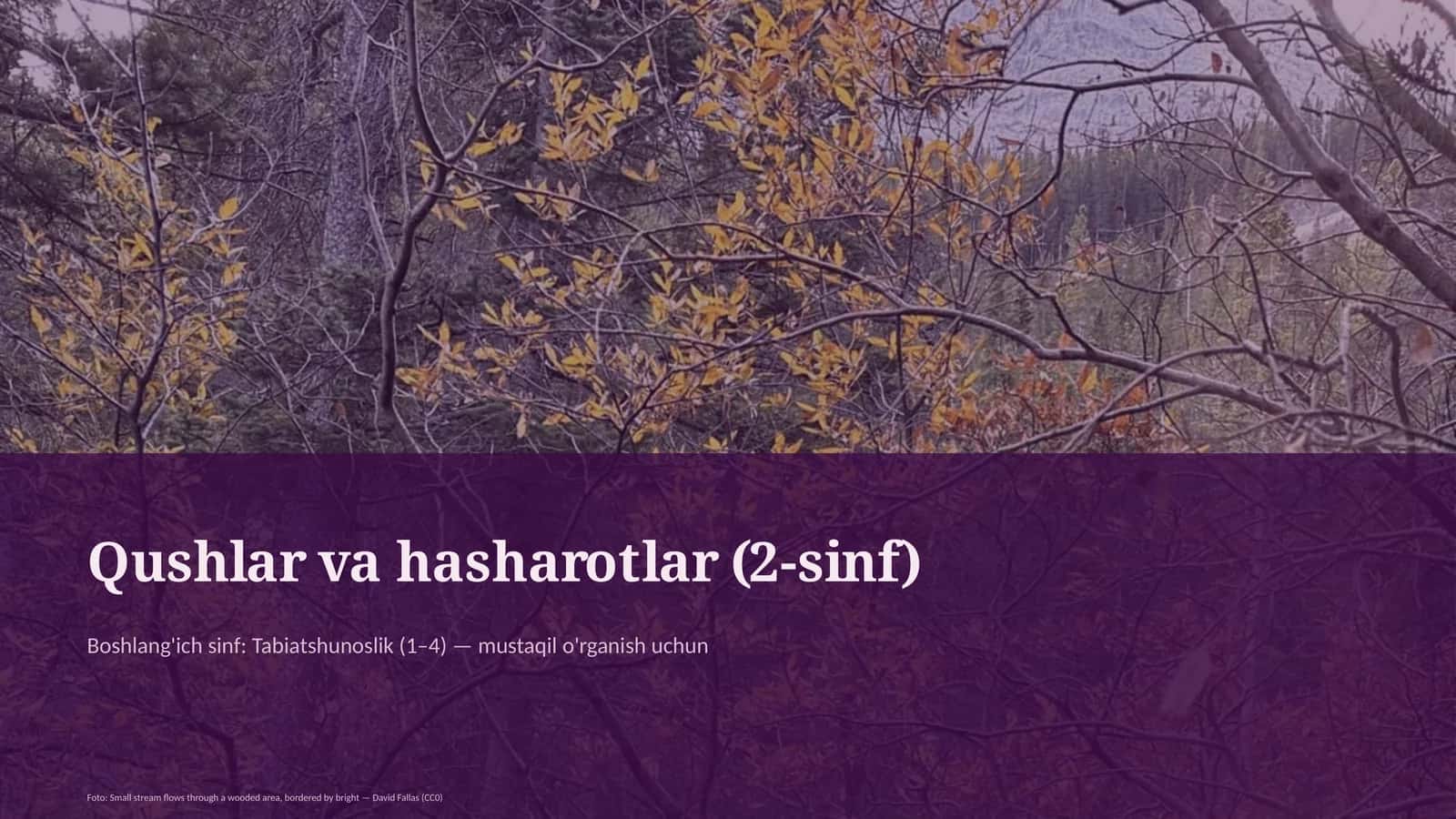 Qushlar va hasharotlar (2-sinf) 1