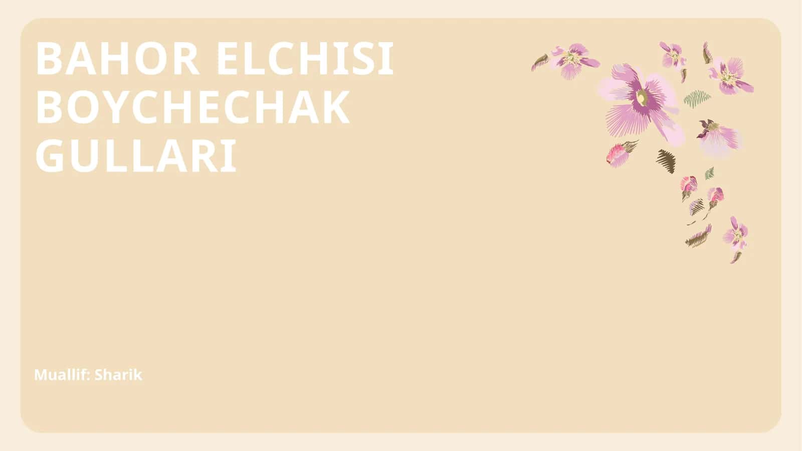 BOYCHECHAK GULLARI 1