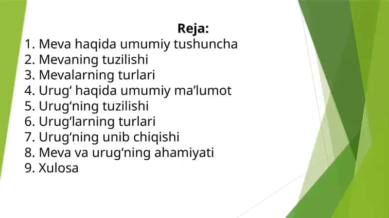 Meva va Urugʻ 1