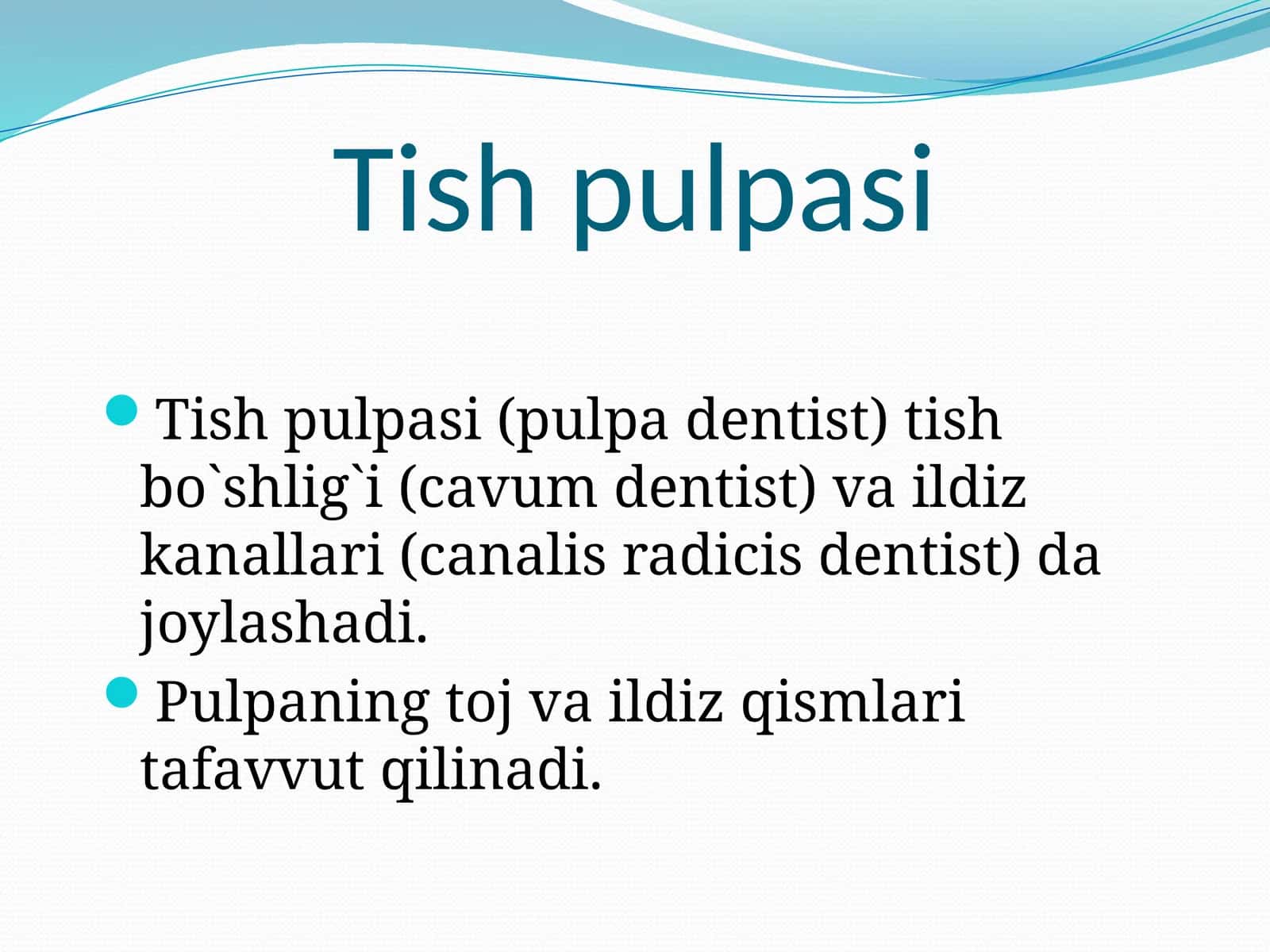 Tishpulpasi 1
