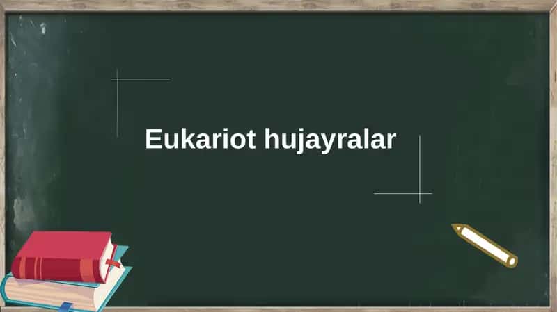 Eukariot hujayralar 1