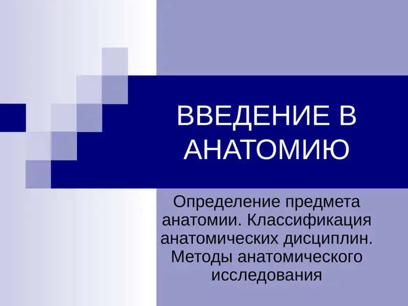 ВВЕДЕНИЕ В АНАТОМИЮ 1