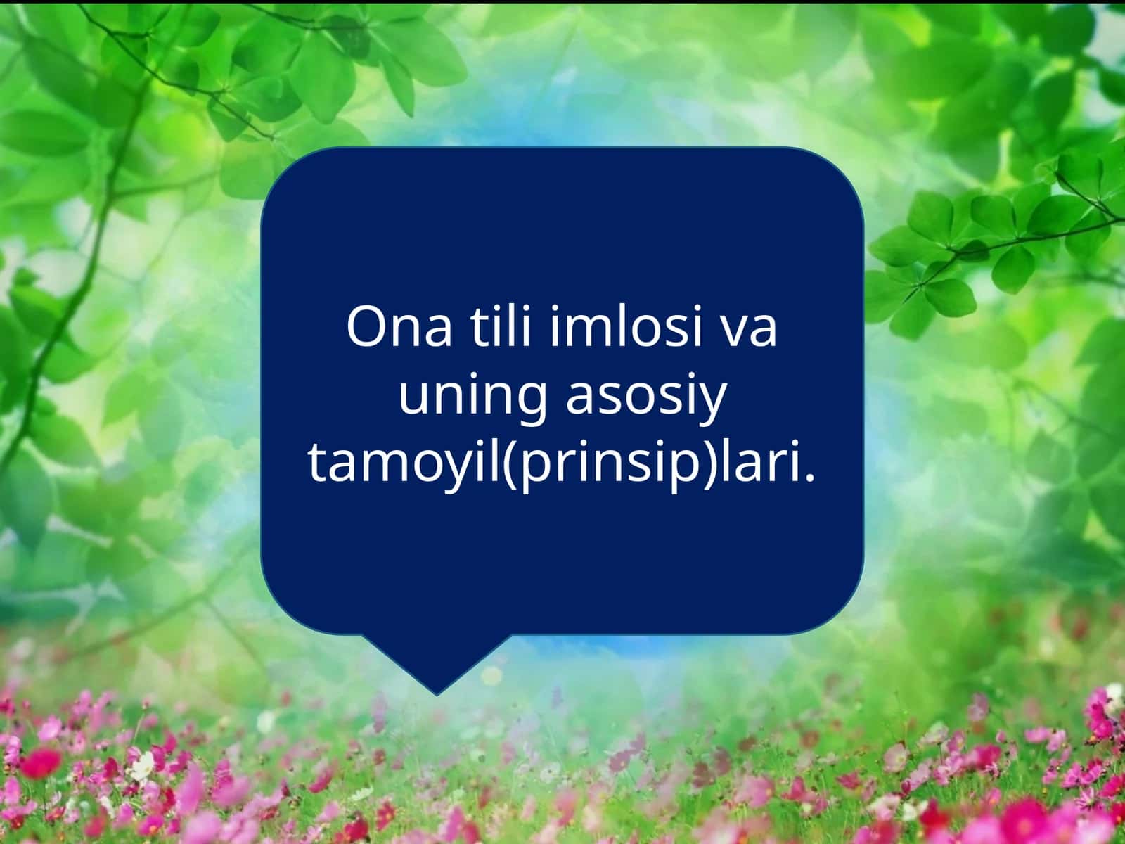 Ona tili imlosi va uning asosiy tamoyil(prinsip)lari 1