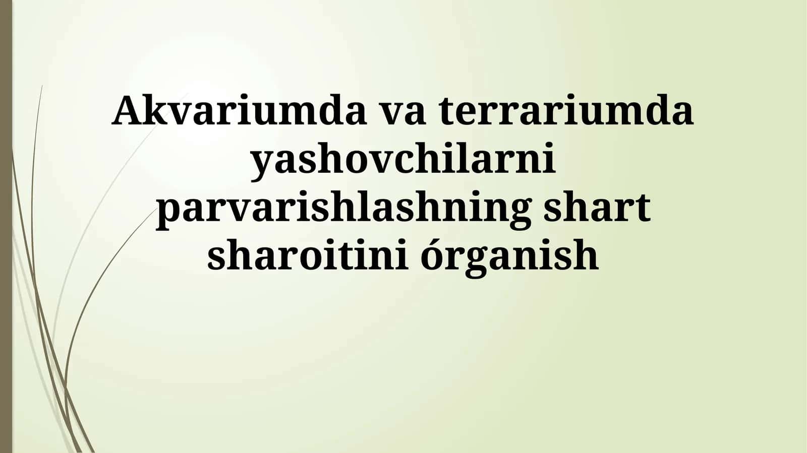 Akvariumda va terrariumda yashovchilarni parvarishlashning shartsharoitiniórganish 1