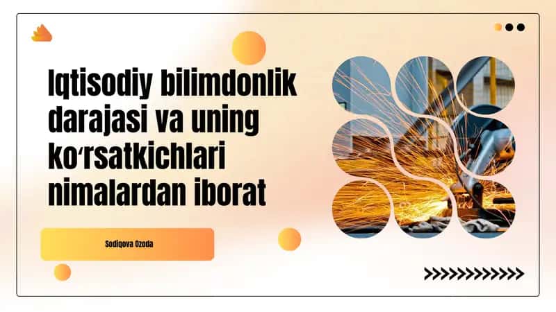 Iqtisodiy bilimdonlik darajasi va uning koʻrsatkichlari 1