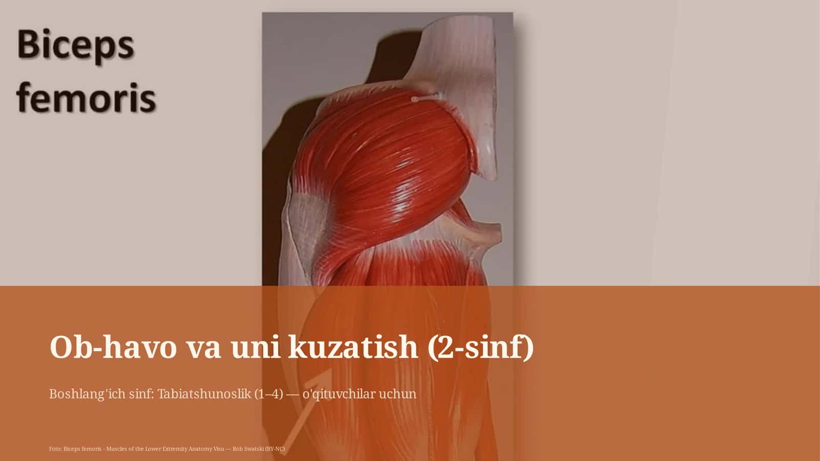 Ob-havo va uni kuzatish (2-sinf) 1