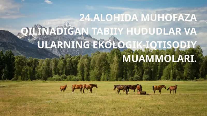 ALOHIDA MUHOFAZA QILINADIGAN TABIIY HUDUDLAR VA ULARNING EKOLOGIK-IQTISODIY MUAMMOLARI 1
