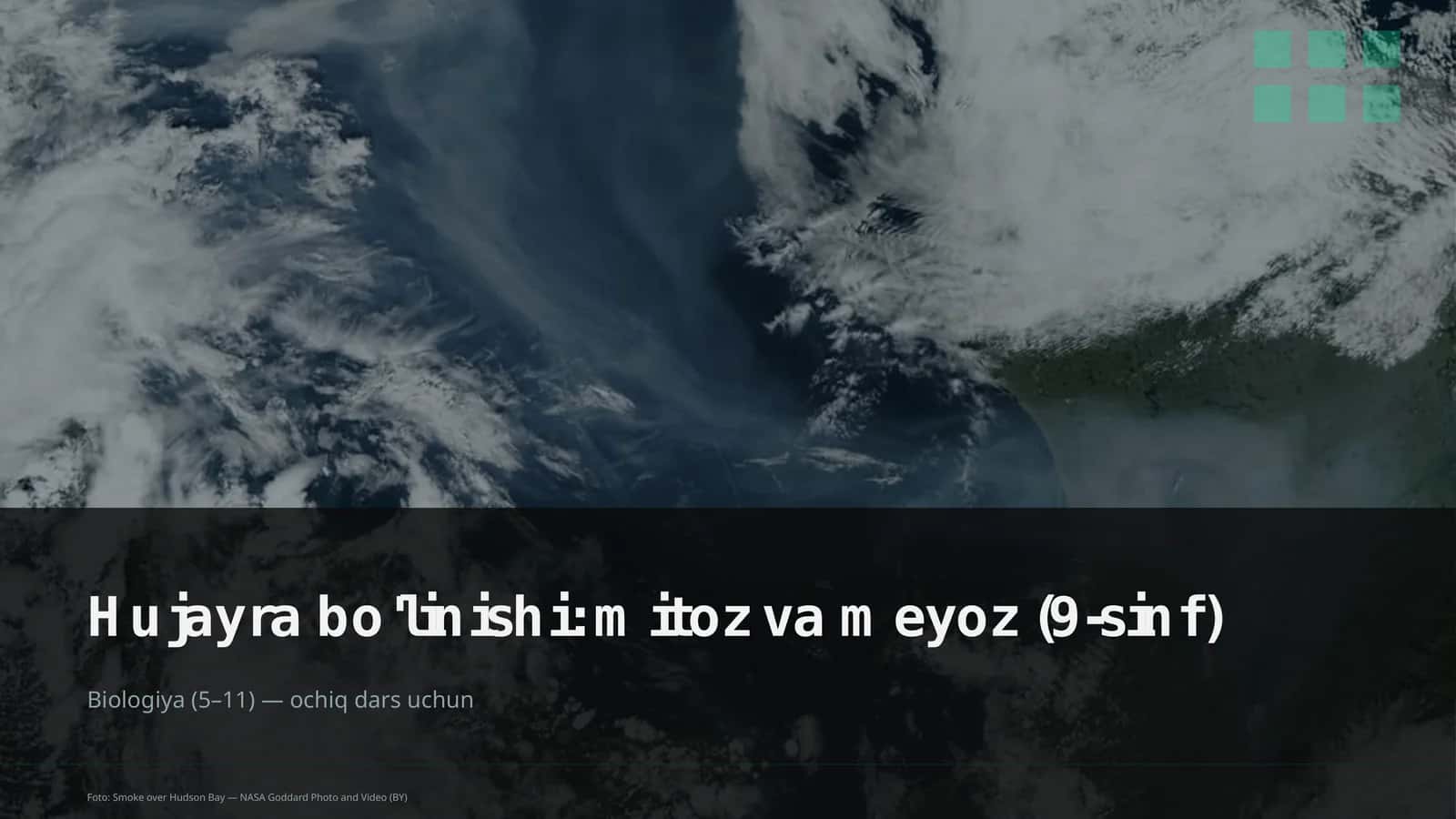 Hujayra bo'linishi: mitoz va meyoz (9-sinf) 1