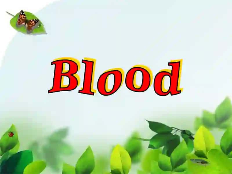 Blood