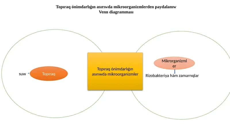 Topıraq ónimdarlıǵın asırıwda mikroorganizmlerden paydalanıw 1